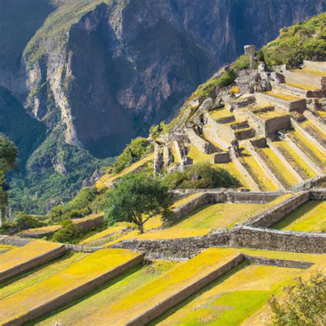 Inca Agriculture: Techniques and Legacy