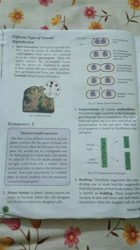 Different Types of Asexual Reproduction Cell wall 1. Spore formation: Thi..