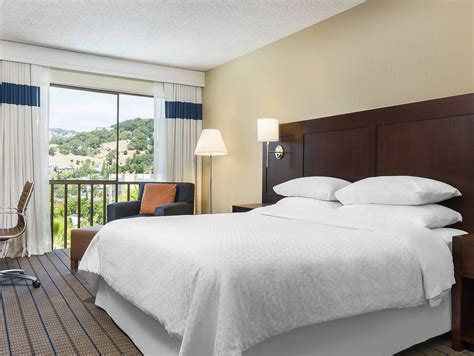 SanRafael - REGENEXX MEDICAL TRAVEL