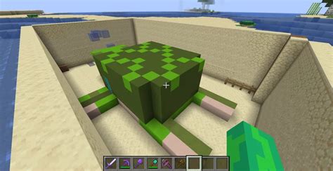 MinecraftTurtle House 的图像结果