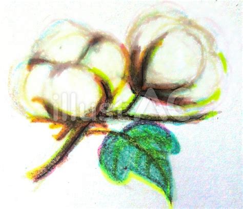 Image result for Dynamo If Python Example