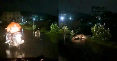 Bollywood actor Aamir Khan rescued in a boat during Chennai floods ...