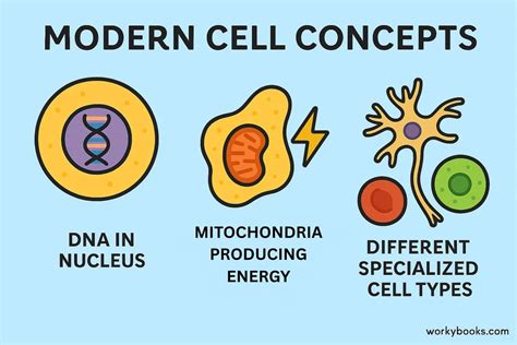Image result for Cell Theory Explained