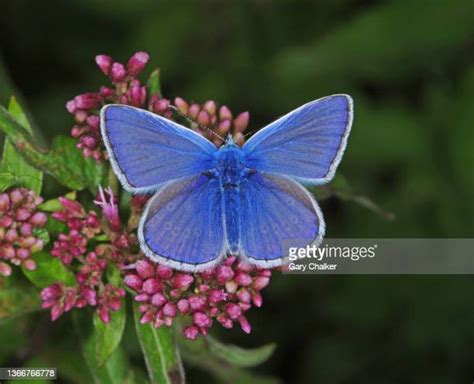 Image result for Common Core Grade 3 Math