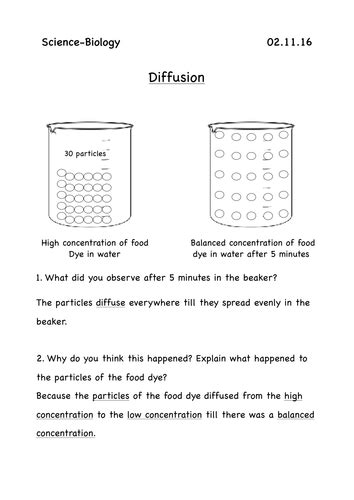 Image result for Diffusion Project Fun Activity