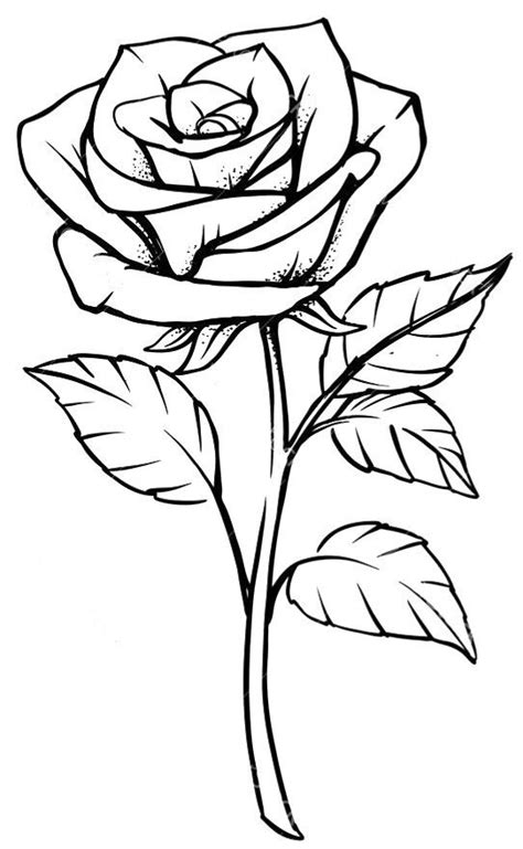 Image result for Rose Code Using HTML and CSS