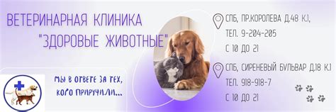 Ветеринарная клиника "Здоровые животные" | СПб | ВЕТЕРИНАРНАЯ КЛИНИКА ...