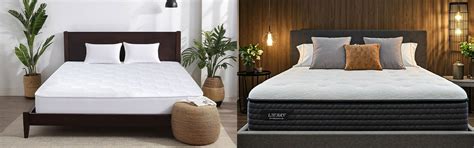 Top Affordable vs Premium Mattresses in India: A Comprehensive Compari ...