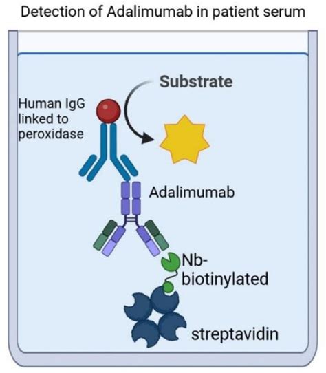 POS0596 ANALYTICAL TOOLS FOR THERAPEUTIC MONITORING OF ADALIMUMAB - Annals of the Rheumatic Diseases