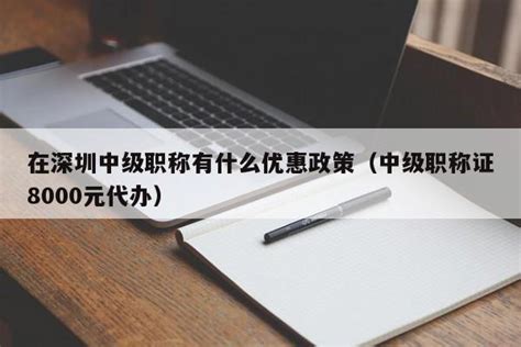 深圳中级职称补贴申请流程Word模板下载_编号lpkyrgje_熊猫办公