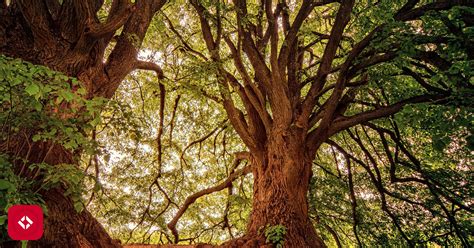 Image result for Minimum Spanning-Tree Sample