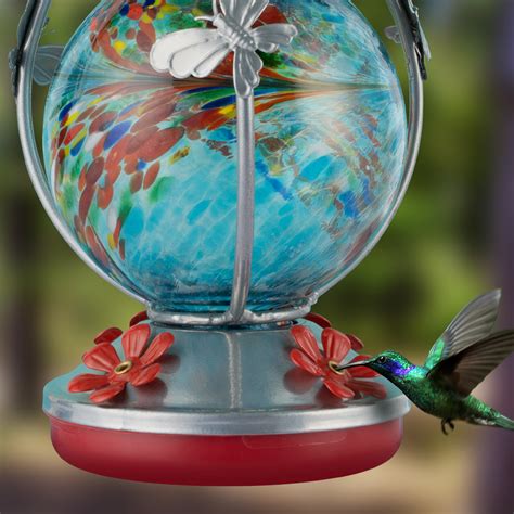 Glass Hummingbird Feeder – Backyard Expressions