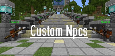 Image result for Minecraft Custom NPC Java