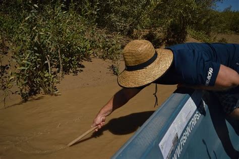 Fish N Trips Sport Fishing Charters (Derby) - 2021 What to Know Before ...