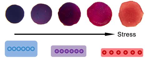 Image result for Meter Color Changing Film