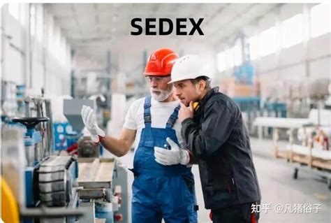 SEDEX认证采用什么标准？认证的具体流程是什么 - 知乎