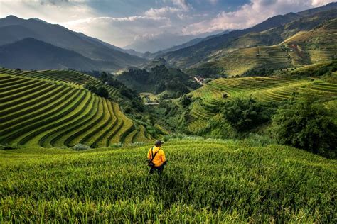 Visiting Local Communities 的图像结果