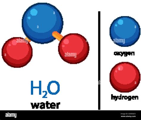 Vector illustration of H2O molecule with labeled oxygen and hydrogen ...