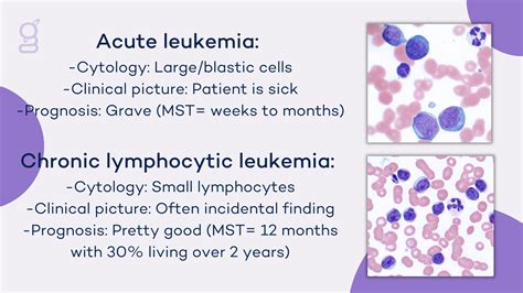 Chronic Lymphocytic Leukemia