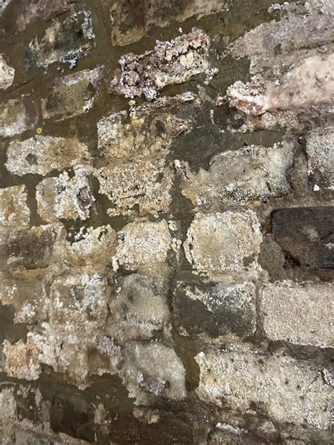 Image result for Rotting Problem