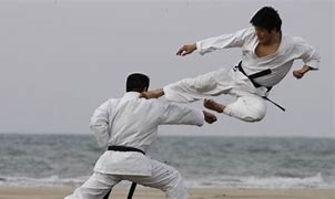 japan mixed martial arts