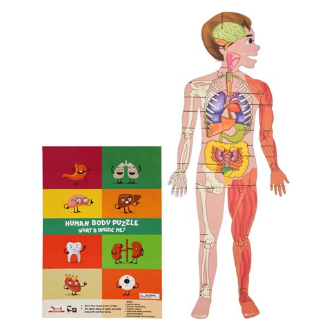 Human Body Floor Puzzle (Age 4-12)