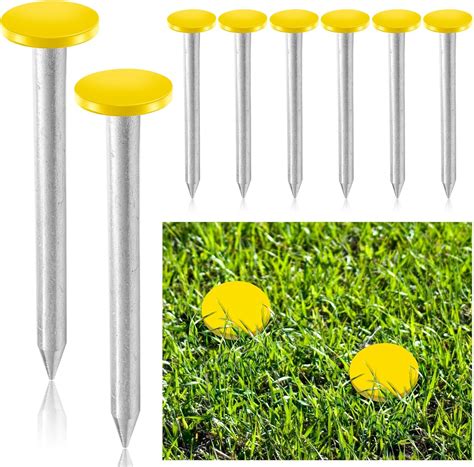 Amazon.com : Silkfly 8 Pcs Survey Stakes Property Line Markers Low ...