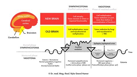 What is GNM or Germanic New Medicine – Awaking Project