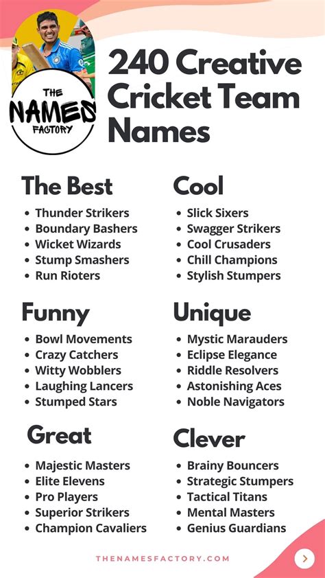 240+ Top Cricket Team Names for Your Squad