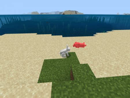 Image result for Minecraft Java Unused Mobs