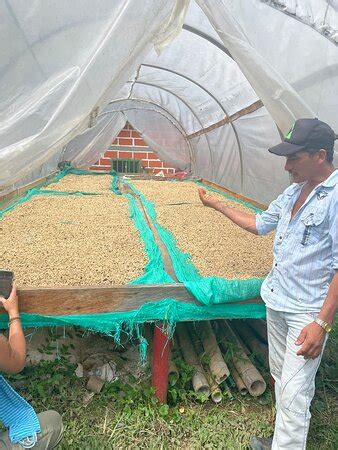 Abakuá Tours - Guatape | Tripadvisor