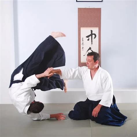 Aikido Lessons Free 的图像结果