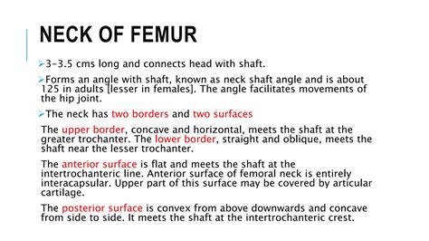 Femur bone lec3 | PPTX