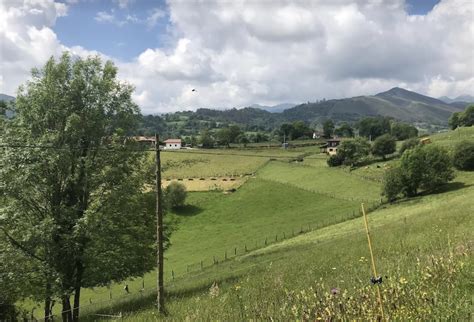 Rescatan a un hombre de 79 años que se cayó desde unos catorce metros a ...