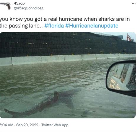 Hurricane Batters Florida: Old, Edited Photo Of Shark Wading Through ...
