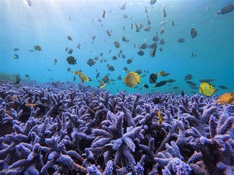 Penghu Blue Cave: Island Hopping Day Tour in Southern Four Islands ...