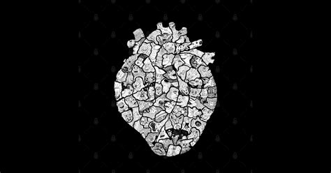 Cartoon Heart Algorithm 的图像结果