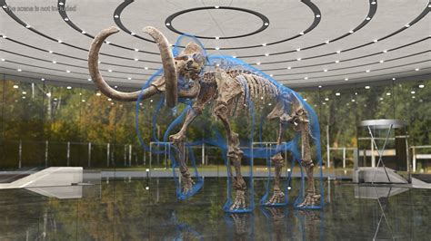 3D model Adult Mammoth Old Skeleton Shell Walking Pose | 3D Molier ...