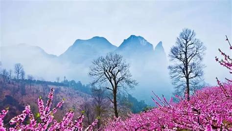 春天里的中国丨万物复苏 春意盎然_游客_江豚_长岛