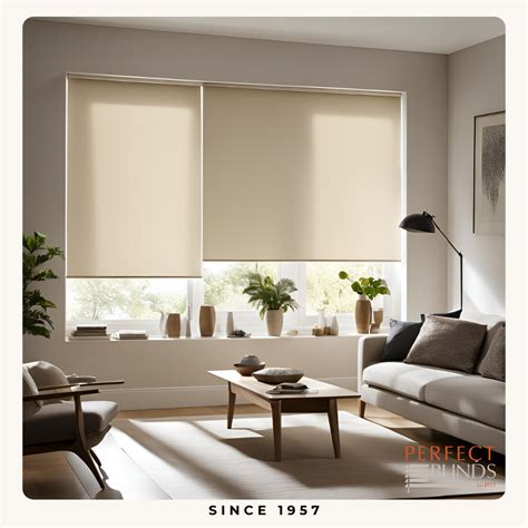 Blinds drawn, shades on. 🕶️ Feeling mysterious #BLINDS #DESIGN # ...