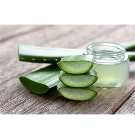 Buy 100 % Natural and Pure Aloe Vera Juice Online | HealthyBuddha