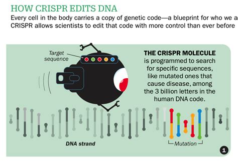 Rezultat imagine pentru CRISPR Explained