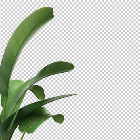 Isolated plants scene creator | Premium PSD