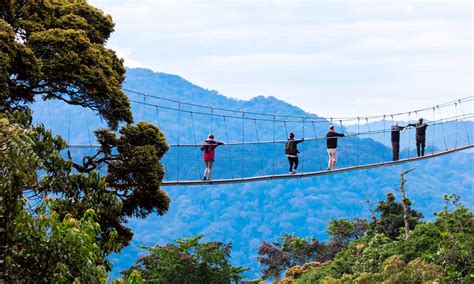 nyungwe hiking
