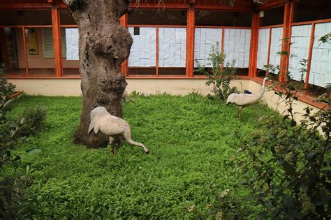 PARQUE PERIURBANO DE CONSERVACION Y OCIO DEHESA DE MOHEDA ALTA (2025 ...