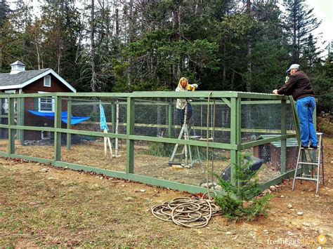 How to Build a Predator-Proof Chicken Run - Fresh Eggs Daily® with Lisa ...