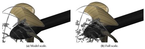 Cavitation on Model- and Full-Scale Marine Propellers: Steady And ...