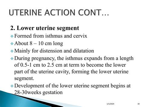 PHYSIOLOGICAL CHANGES IN FIRST STAGE OF LABOUR.ppt - isthmus of uterus