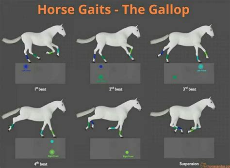 Image result for Gallop Step Pattern