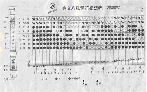 琵琶d调泛音图片,琵琶指法符号全解图解 - 伤感说说吧